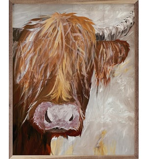 Highland Bull By Morgan Adams